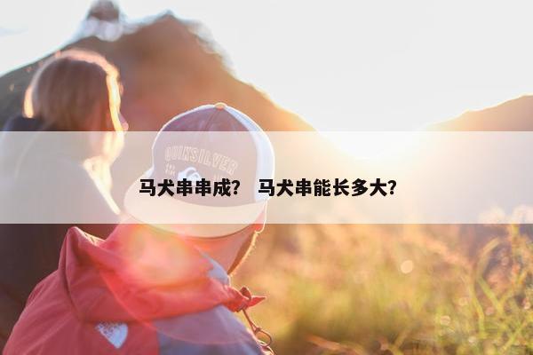 马犬串串成？ 马犬串能长多大？