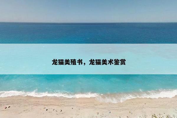 龙猫美殖书，龙猫美术鉴赏
