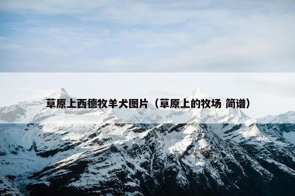 草原上西德牧羊犬图片（草原上的牧场 简谱）