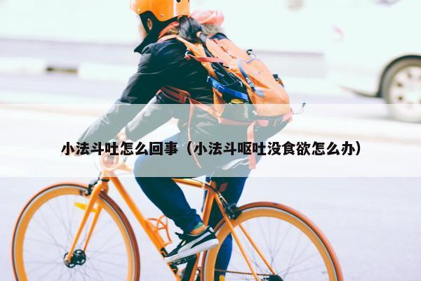 小法斗吐怎么回事（小法斗呕吐没食欲怎么办）