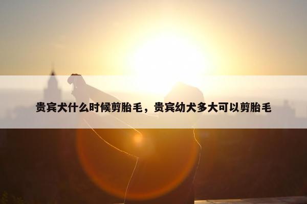 贵宾犬什么时候剪胎毛，贵宾幼犬多大可以剪胎毛