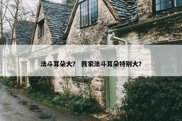 法斗耳朵大？ 我家法斗耳朵特别大？