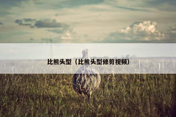 比熊头型（比熊头型修剪视频）