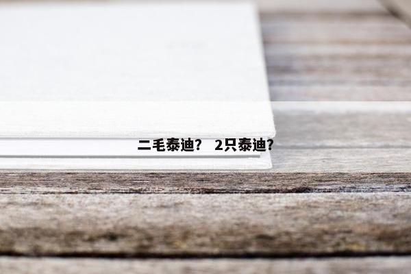 二毛泰迪？ 2只泰迪？