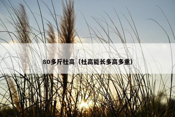 80多斤杜高（杜高能长多高多重）
