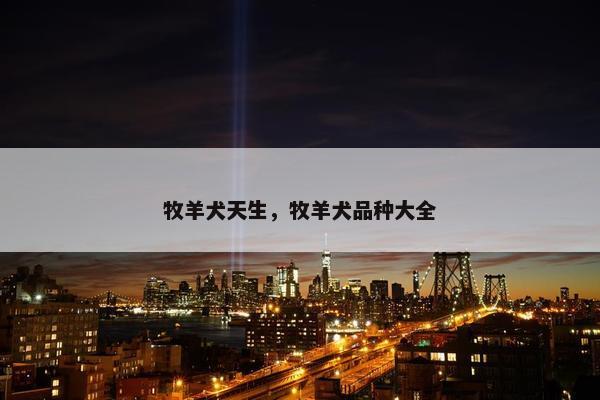 牧羊犬天生，牧羊犬品种大全