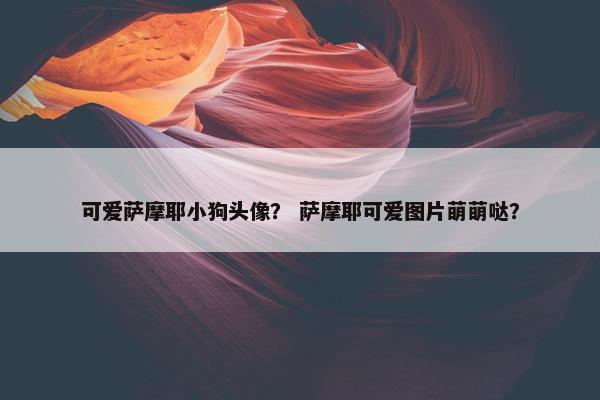 可爱萨摩耶小狗头像？ 萨摩耶可爱图片萌萌哒？