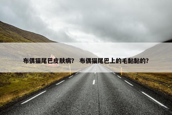 布偶猫尾巴皮肤病？ 布偶猫尾巴上的毛黏黏的？