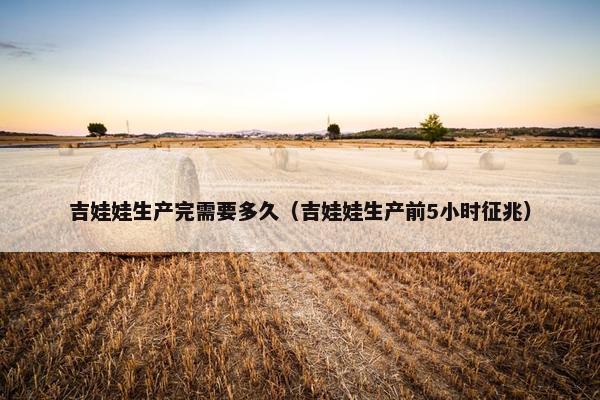 吉娃娃生产完需要多久（吉娃娃生产前5小时征兆）