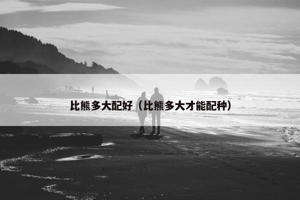 比熊多大配好（比熊多大才能配种）