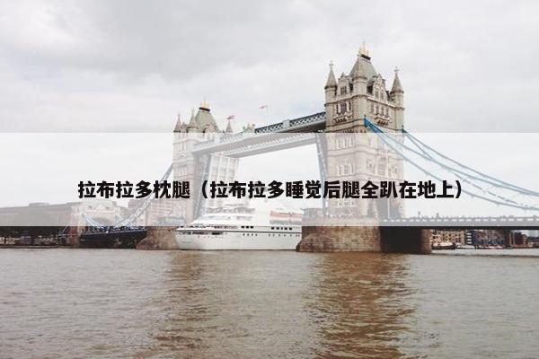 拉布拉多枕腿（拉布拉多睡觉后腿全趴在地上）