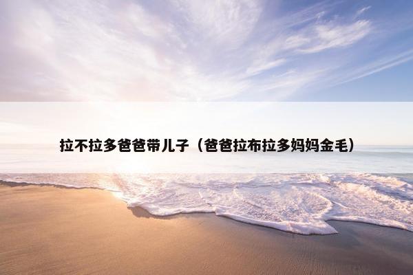 拉不拉多爸爸带儿子（爸爸拉布拉多妈妈金毛）