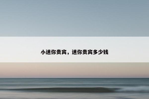 小迷你贵宾,迷你贵宾多少钱 小迷你贵宾,迷你贵宾多少钱