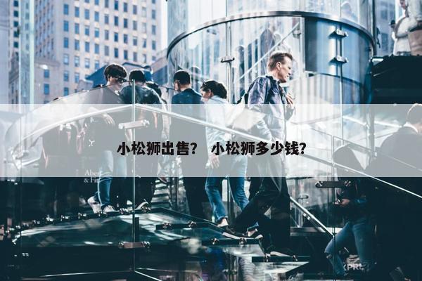 小松狮出售？ 小松狮多少钱？