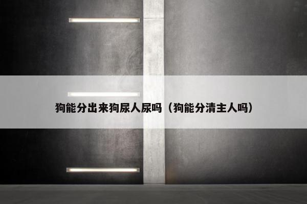 狗能分出来狗尿人尿吗（狗能分清主人吗）