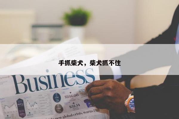 手抓柴犬，柴犬抓不住