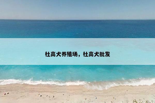 杜高犬养殖场，杜高犬批发