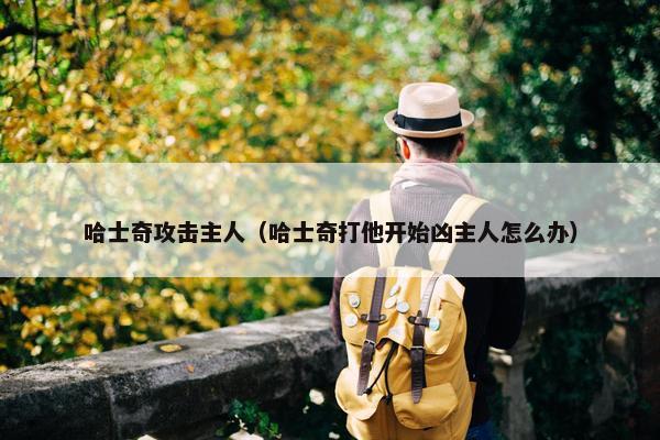 哈士奇攻击主人（哈士奇打他开始凶主人怎么办）