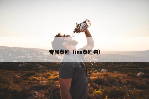 专属泰迪（ins泰迪狗）
