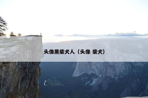 头像黑柴犬人(头像 柴犬) 头像黑柴犬人(头像 柴犬)