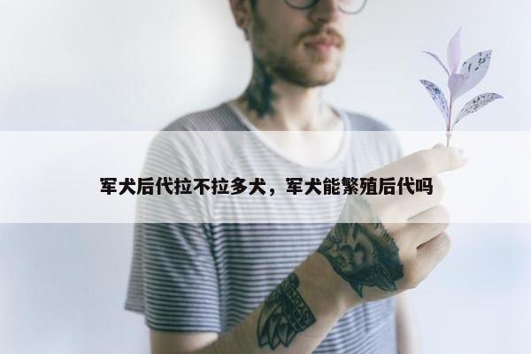 军犬后代拉不拉多犬，军犬能繁殖后代吗
