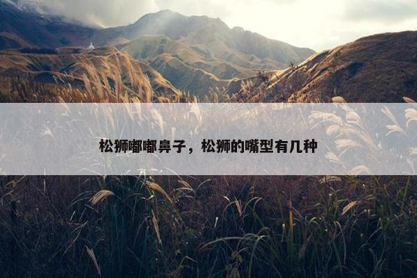 松狮嘟嘟鼻子，松狮的嘴型有几种