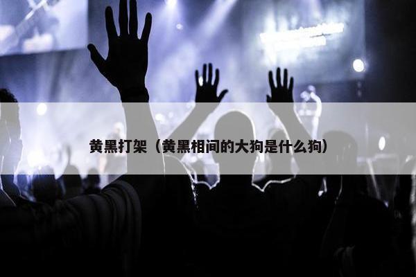 黄黑打架（黄黑相间的大狗是什么狗）