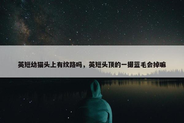英短幼猫头上有纹路吗，英短头顶的一撮蓝毛会掉嘛