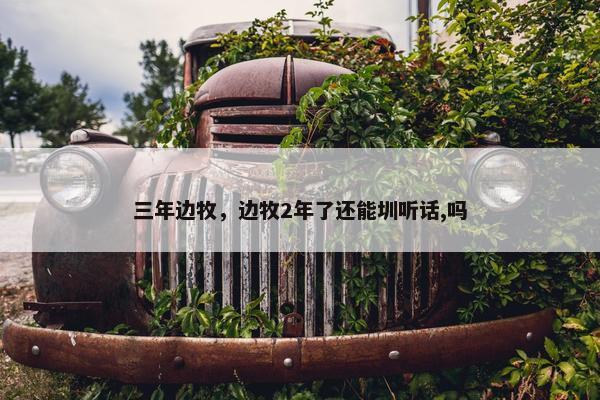 三年边牧，边牧2年了还能圳听话,吗