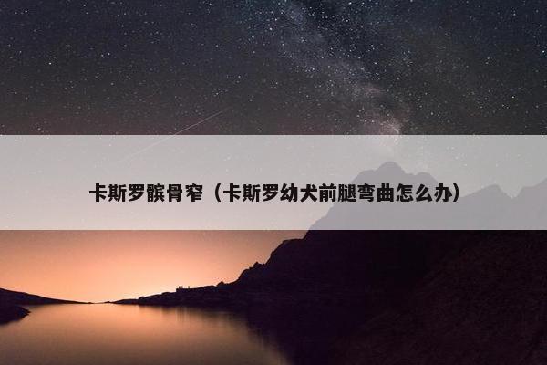 卡斯罗髌骨窄（卡斯罗幼犬前腿弯曲怎么办）