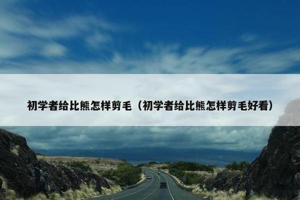 初学者给比熊怎样剪毛（初学者给比熊怎样剪毛好看）