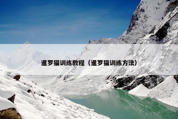 暹罗猫训练教程（暹罗猫训练方法）