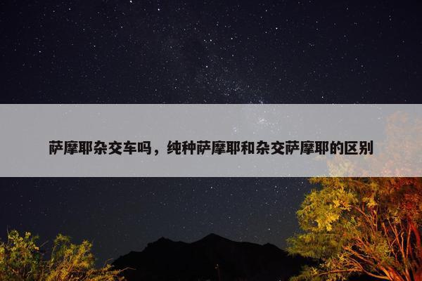 萨摩耶杂交车吗，纯种萨摩耶和杂交萨摩耶的区别