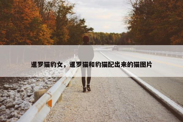 暹罗猫豹女，暹罗猫和豹猫配出来的猫图片