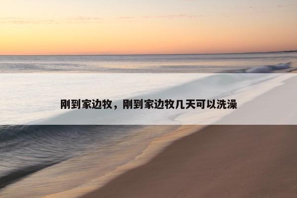 刚到家边牧，刚到家边牧几天可以洗澡