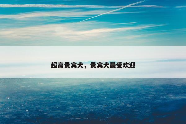 超高贵宾犬，贵宾犬最受欢迎