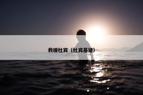 救援杜宾（杜宾基建）