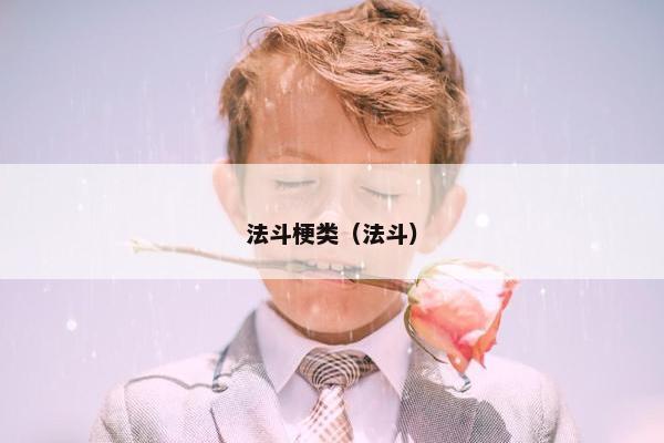 法斗梗类（法斗）