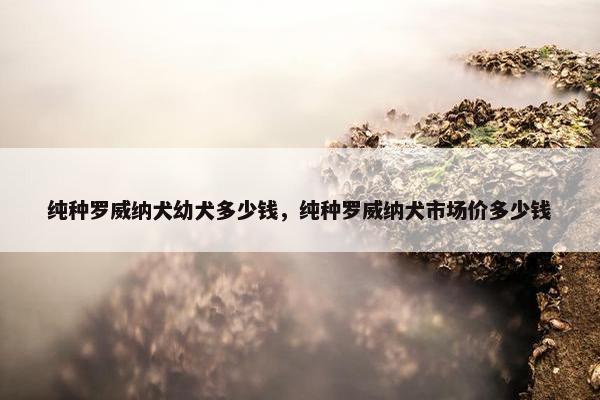 纯种罗威纳犬幼犬多少钱，纯种罗威纳犬市场价多少钱