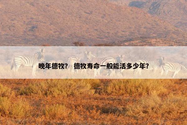 晚年德牧？ 德牧寿命一般能活多少年？