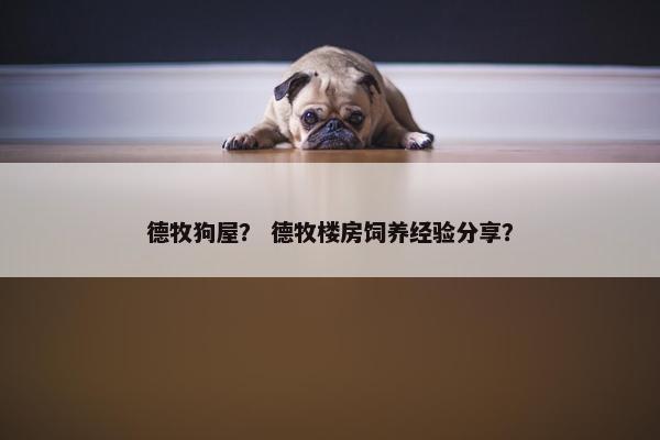 德牧狗屋? 德牧楼房饲养经验分享? 德牧狗屋? 德牧楼房饲养经验分享?