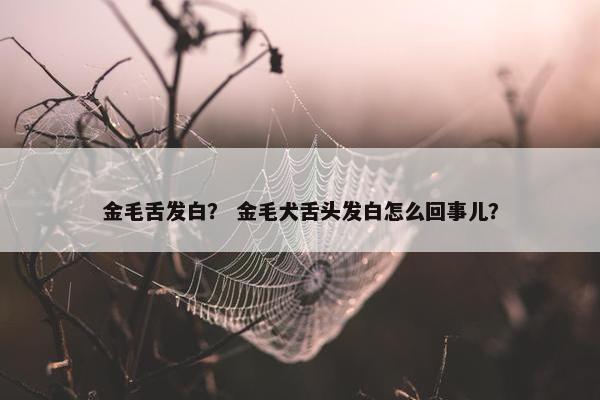金毛舌发白？ 金毛犬舌头发白怎么回事儿？