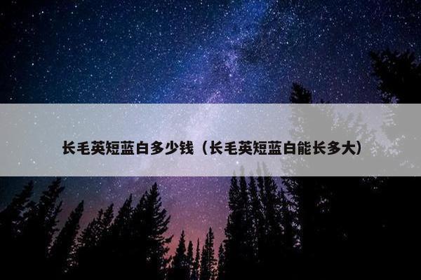 长毛英短蓝白多少钱（长毛英短蓝白能长多大）