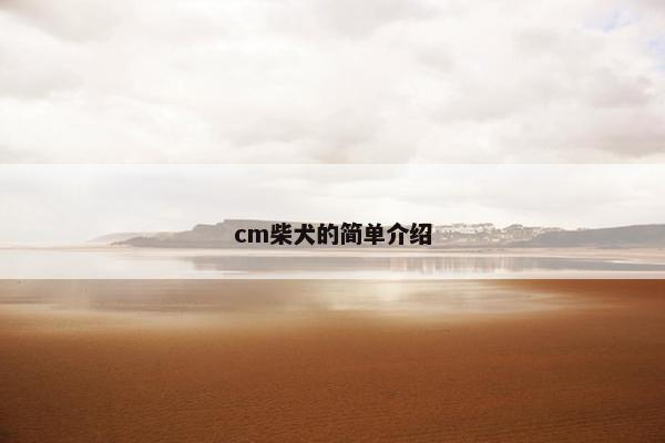 cm柴犬的简单介绍