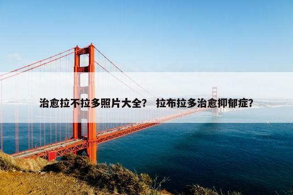 治愈拉不拉多照片大全？ 拉布拉多治愈抑郁症？