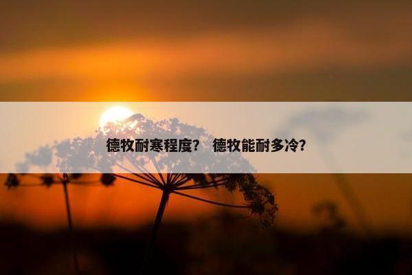 德牧耐寒程度？ 德牧能耐多冷？