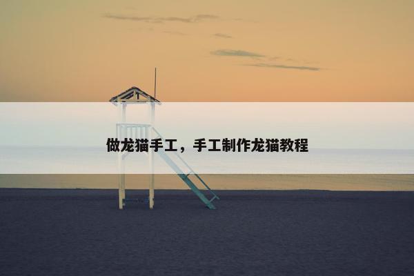 做龙猫手工，手工制作龙猫教程