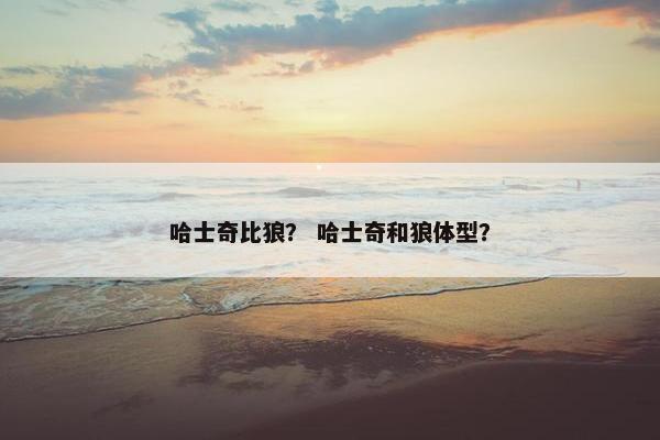 哈士奇比狼？ 哈士奇和狼体型？