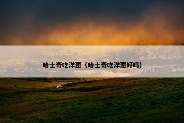 哈士奇吃洋葱（哈士奇吃洋葱好吗）