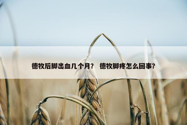 德牧后脚出血几个月？ 德牧脚疼怎么回事？